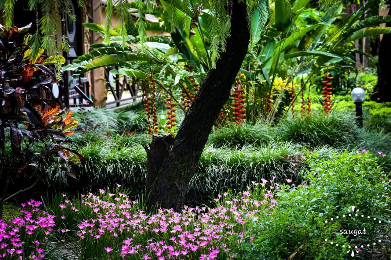 Bardia Wildlife Resort Bardiya Εξωτερικό φωτογραφία