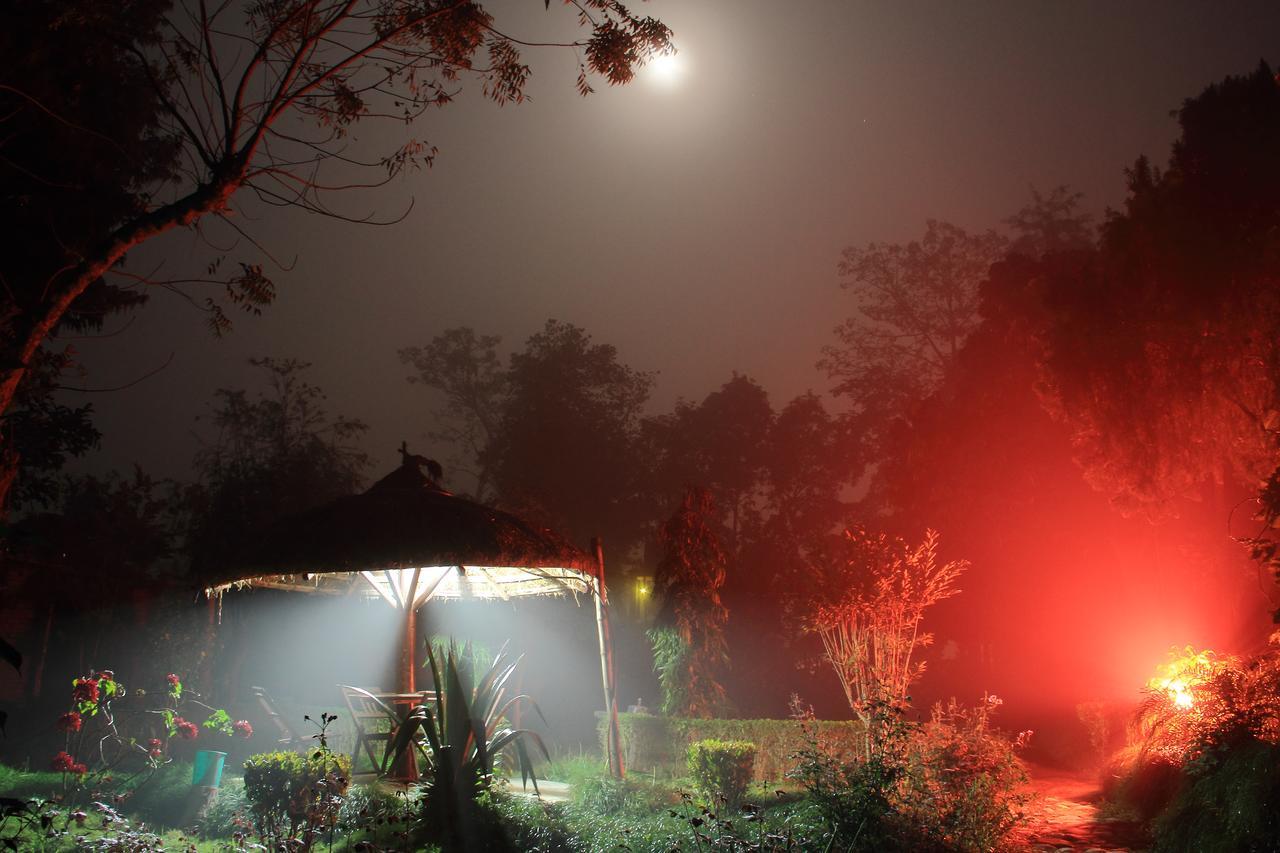 Bardia Wildlife Resort Bardiya Εξωτερικό φωτογραφία