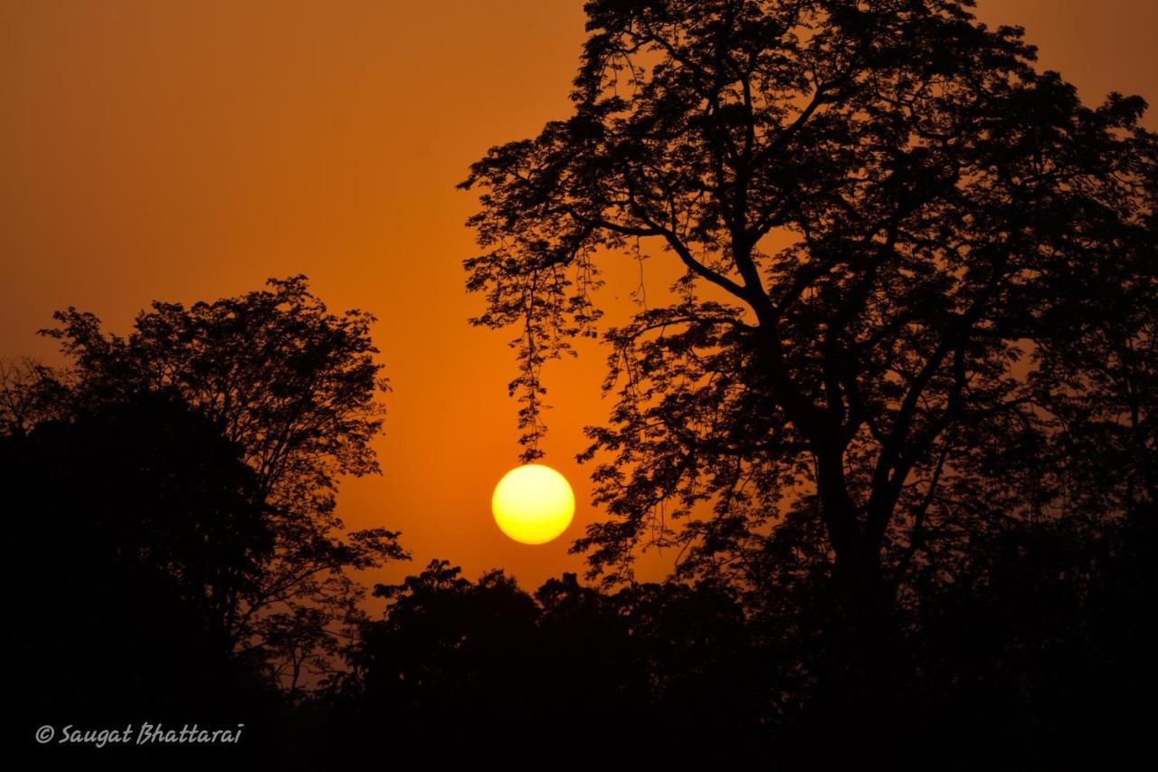 Bardia Wildlife Resort Bardiya Εξωτερικό φωτογραφία