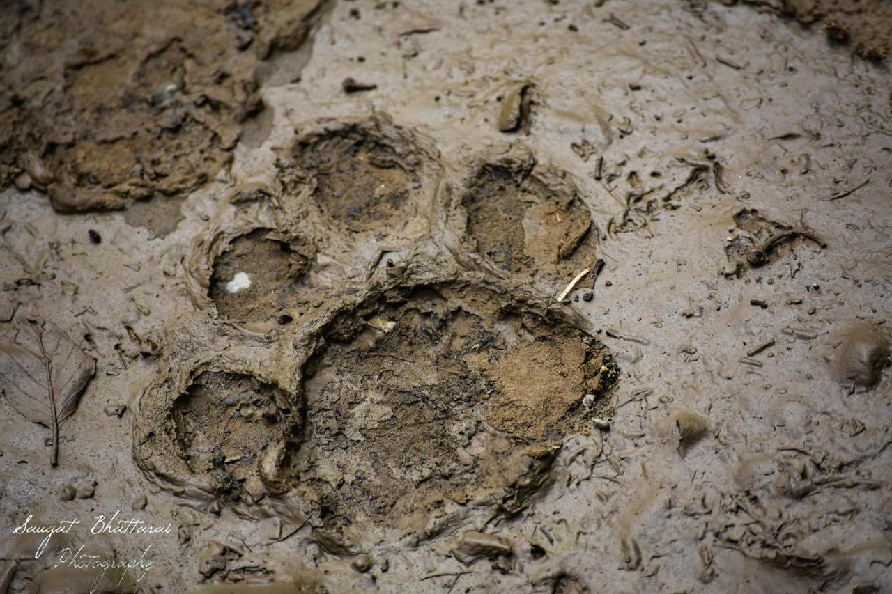 Bardia Wildlife Resort Bardiya Εξωτερικό φωτογραφία